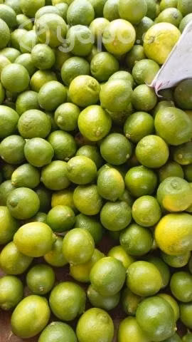 Limón sutil - Imagen 5