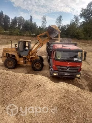 Venta de aserrin