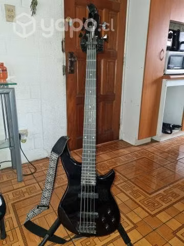 Bajo eléctrico 5 cuerdas con amplificador