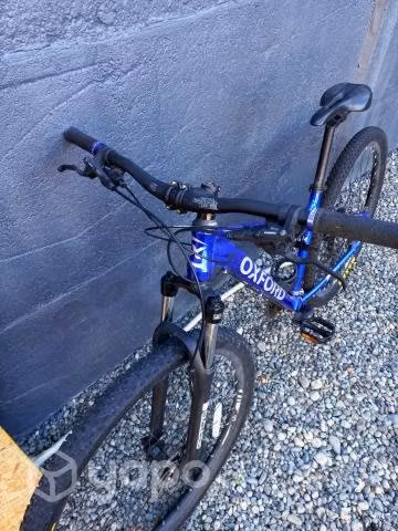 Bicicleta oxford aro 29