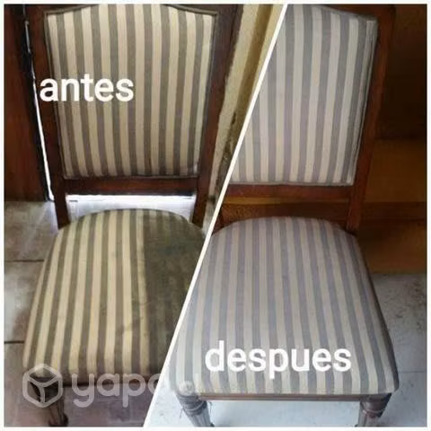 Limpieza y desinfección de tapices