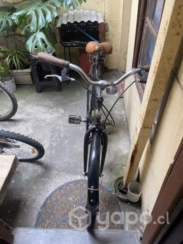 Bicicleta de paseo