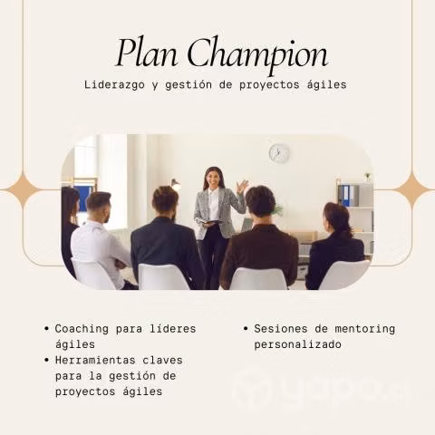 Consultoría Liderazgo y Gestión de Proyectos Agile