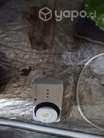 Kit de cultivo indoor