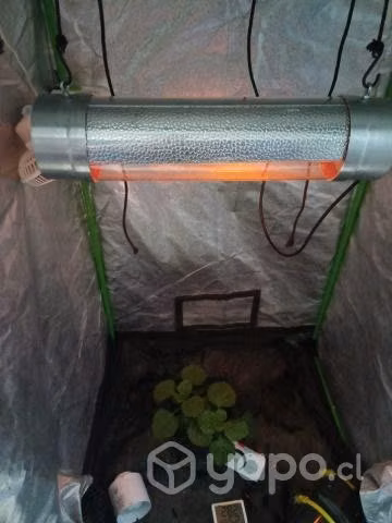 Kit de cultivo indoor