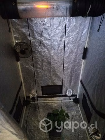 Kit de cultivo indoor