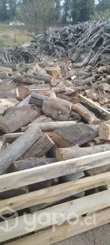 Leña seca revuelta