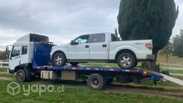 Servicio de grúa y transportes de materiales