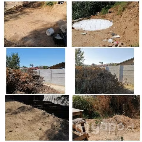 Servicio de Jardinería