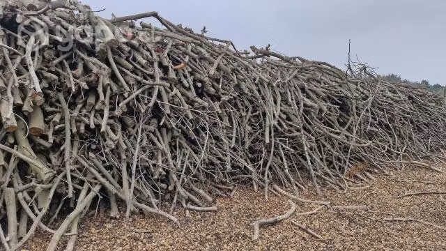 Leña de nogal