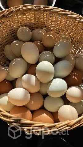 Huevos ricos y saludables - Imagen 2