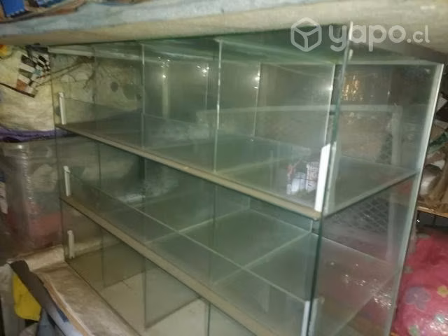 Pastillero para local comercial