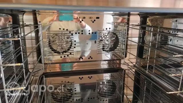 Horno convector