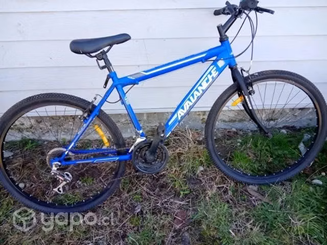 Bicicleta