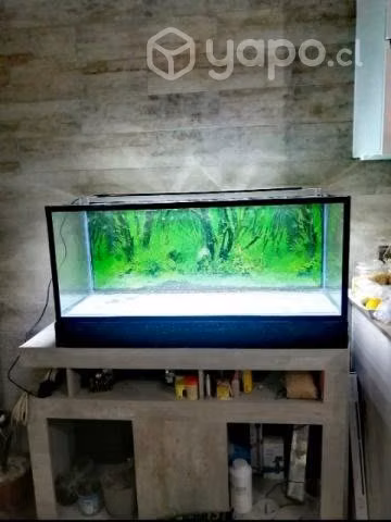 Kit Acuario 170 litros + mueble