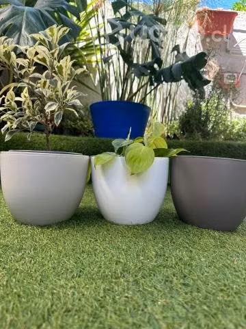 Macetero Plástico 20 Cm Diámetro X 15 Cm Alto Muy