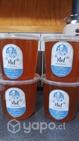 Miel multifloral natural