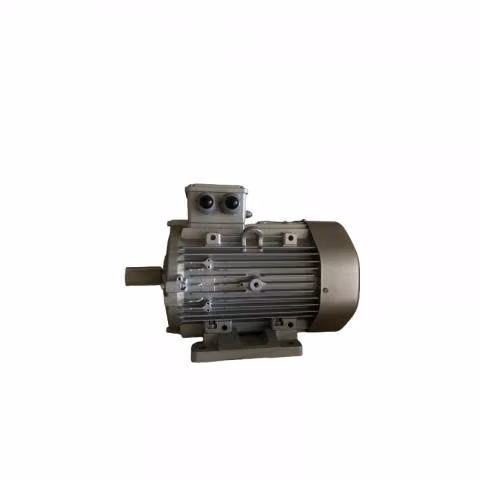 MOTOR ELECTRICO T 100 3kW
