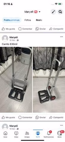 Carrito de carga