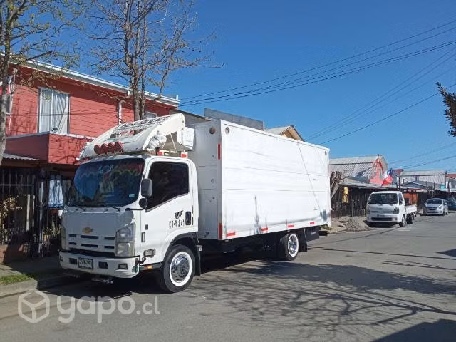 Fletes con frio - 20 y mudanza