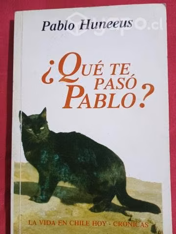 Qué te pasó Pablo? Pablo Huneeus