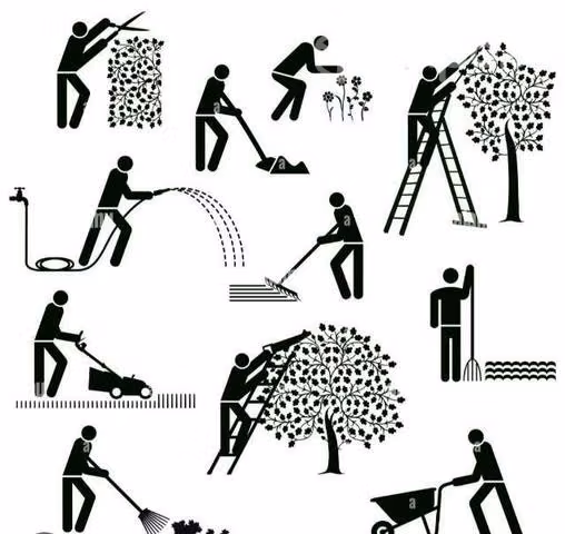 Jardineria
