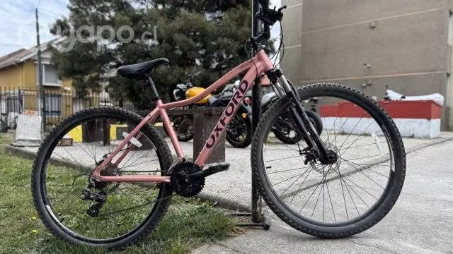 Bicicleta Oxford Aro 29 talla L