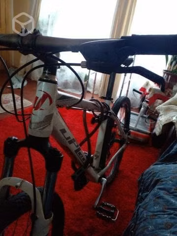 Biceclata montan 26'
