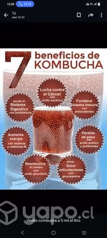 Kombucha y kéfir