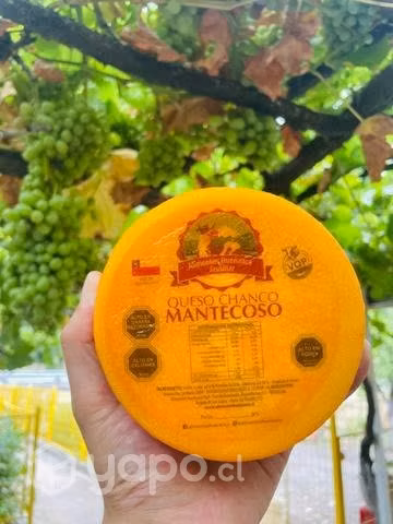Queso Mantecoso de Frutillar
