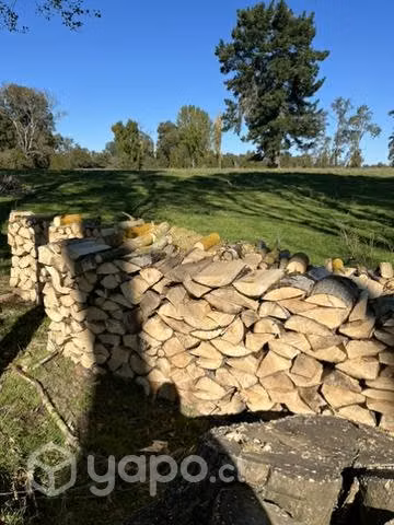 Leña a 25.000 x metro