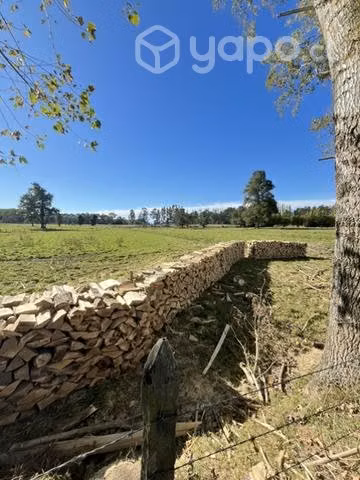 Leña a 25.000 x metro