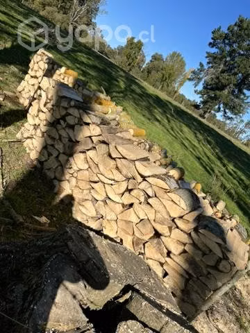 Leña a 25.000 x metro
