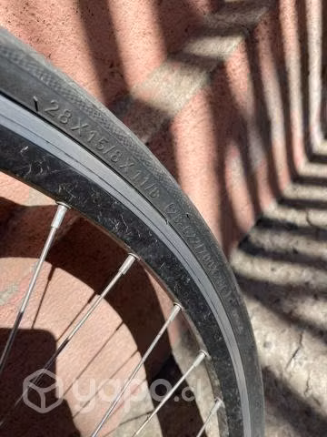 Bicicleta pistera - Imagen 4