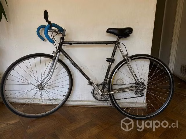 Bicicleta pistera