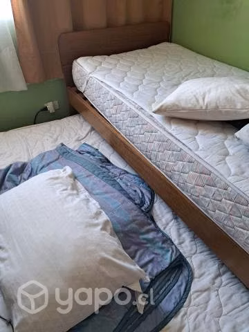Cama nido 1 plaza