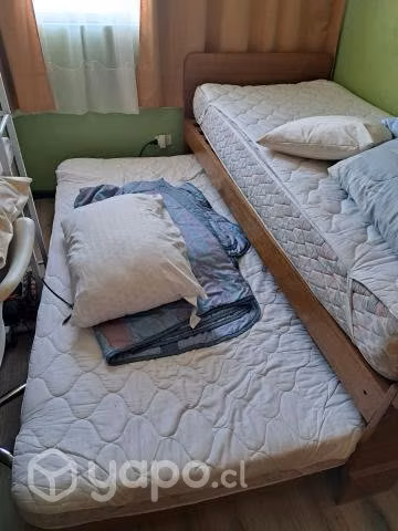 Cama nido 1 plaza