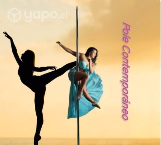 Fit Pole Dance & Trainer