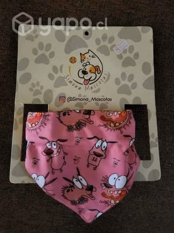 Collar perro
