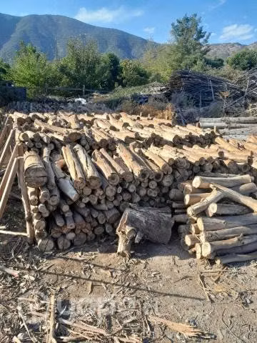 Venta Leña - Madera