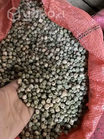 Semilla de Arvejas