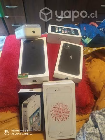 Cajas completas