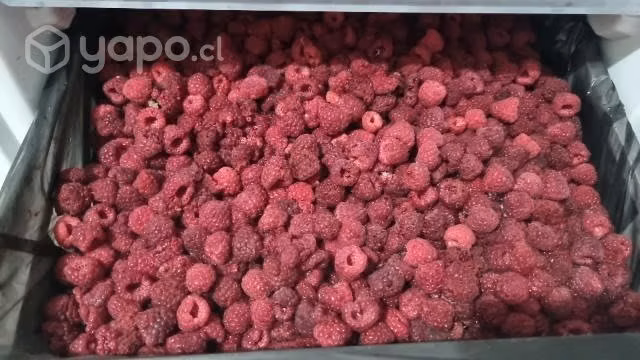 Frambuesas congeladas - Imagen 2