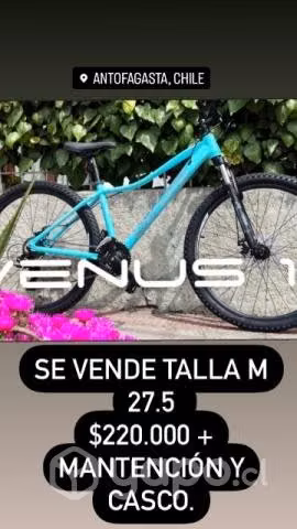Bicicletas - Imagen 2