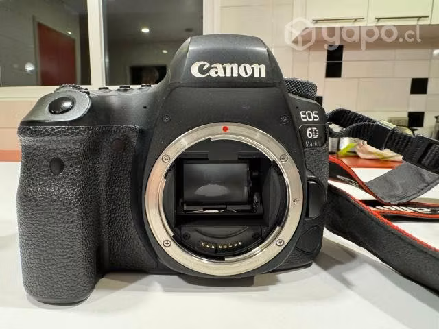Canon 6D Mark II con Lente 24-105 L