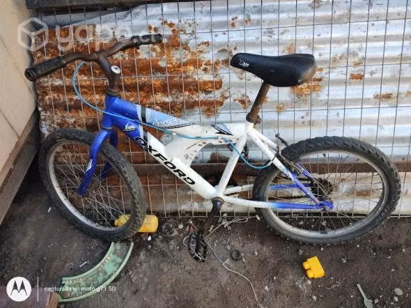 Bicicleta y freidora