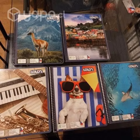 Pack de 5 Cuadernos