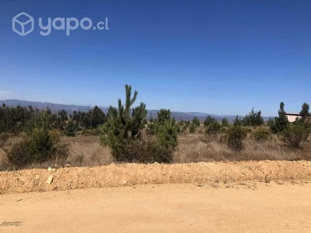 Parecela en altos de paredones - Imagen 2