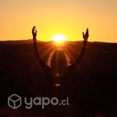 Terapia complementaria profesional