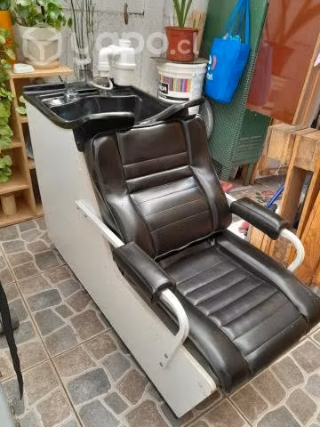 Sillon lavapelos